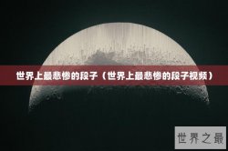 世界上最悲惨的段子（世界上最悲惨的段子视频）