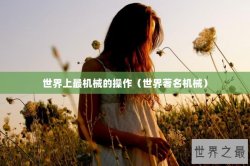世界上最机械的操作（世界著名机械）
