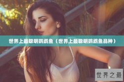 世界上最聪明鹦鹉鱼（世界上最聪明鹦鹉鱼品种）