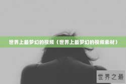 世界上最梦幻的视频（世界上最梦幻的视频素材）