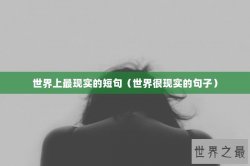 世界上最现实的短句（世界很现实的句子）