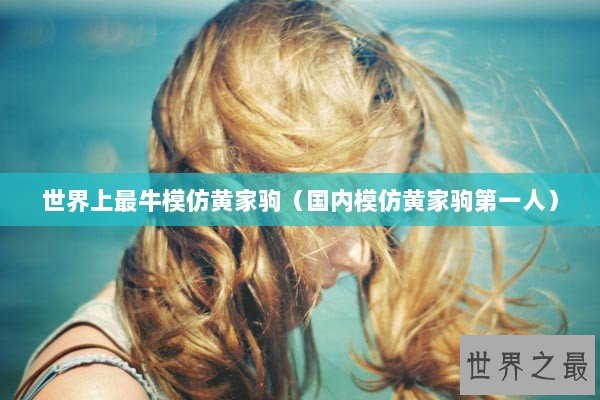 世界上最牛模仿黄家驹(国内模仿黄家驹第一人) 世界上最牛模仿黄家驹(国内模仿黄家驹第一人)