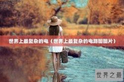 世界上最复杂的电（世界上最复杂的电路图图片）