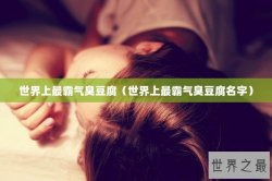 世界上最霸气臭豆腐（世界上最霸气臭豆腐名字）