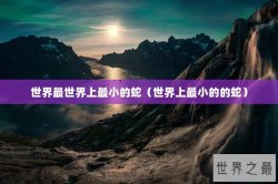 世界最世界上最小的蛇（世界上最小的的蛇）