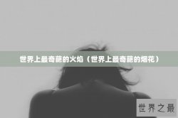世界上最奇葩的火焰（世界上最奇葩的烟花）