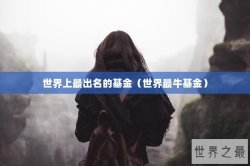 世界上最出名的基金（世界最牛基金）