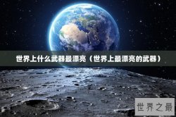 世界上什么武器最漂亮（世界上最漂亮的武器）
