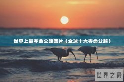 世界上最夺命公路图片（全球十大夺命公路）