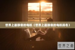 世界上最静音的电机（世界上最静音的电机排名）