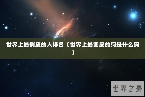 世界上最俏皮的人排名（世界上最调皮的狗是什么狗）