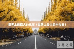 世界上最巨大的化石（世界上最大的木化石）