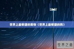 世界上最敏捷的宠物（世界上最敏捷的狗）