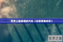 世界上最厚道的汽车（比较厚重的车）