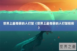 世界上最奇葩的人打架（世界上最奇葩的人打架视频）