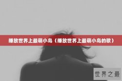 播放世界上最萌小鸟（播放世界上最萌小鸟的歌）