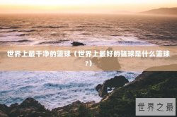 世界上最干净的篮球（世界上最好的篮球是什么篮球?）