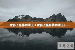 世界上最棒的赌王（世界上最有钱的赌王）