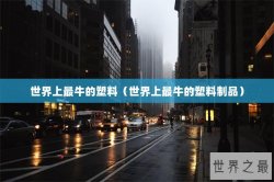 世界上最牛的塑料（世界上最牛的塑料制品）