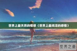 世界上最天然的情感（世界上最纯洁的感情）