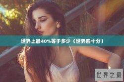 世界上最40%等于多少（世界四十分）