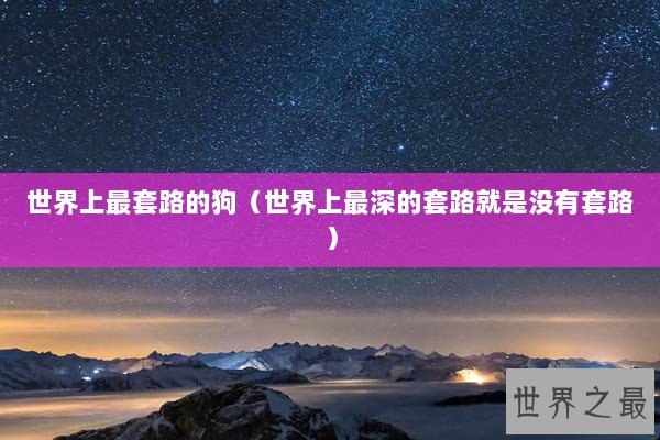 世界上最套路的狗（世界上最深的套路就是没有套路）