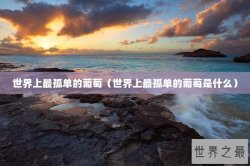 世界上最孤单的葡萄（世界上最孤单的葡萄是什么）