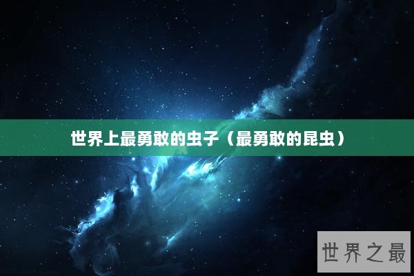 世界上最勇敢的虫子（最勇敢的昆虫）