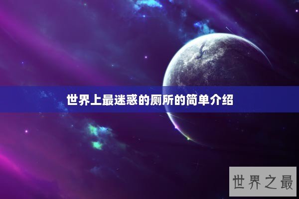 世界上最迷惑的厕所的简单介绍