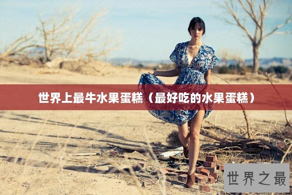 世界上最牛水果蛋糕（最好吃的水果蛋糕）