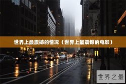 世界上最震撼的情况（世界上最震撼的电影）