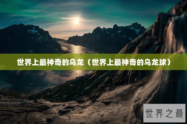 世界上最神奇的乌龙（世界上最神奇的乌龙球）
