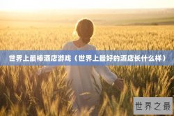 世界上最棒酒店游戏（世界上最好的酒店长什么样）