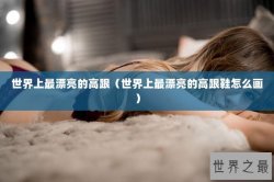 世界上最漂亮的高跟（世界上最漂亮的高跟鞋怎么画）