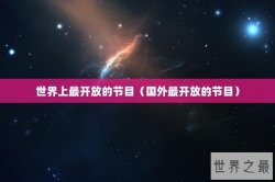 世界上最开放的节目（国外最开放的节目）