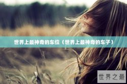 世界上最神奇的车位（世界上最神奇的车子）
