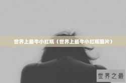 世界上最牛小红瓶（世界上最牛小红瓶图片）