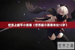 世界上最牛小黑客（世界最小黑客年仅12岁）