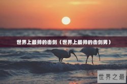 世界上最帅的击剑（世界上最帅的击剑男）