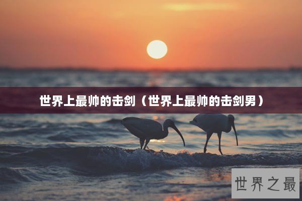 世界上最帅的击剑(世界上最帅的击剑男) 世界上最帅的击剑(世界上最帅的击剑男)