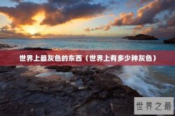 世界上最灰色的东西（世界上有多少种灰色）