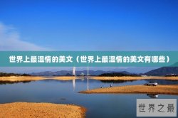 世界上最温情的美文（世界上最温情的美文有哪些）