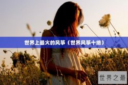 世界上最火的风筝（世界风筝十绝）