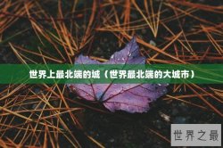 世界上最北端的城（世界最北端的大城市）