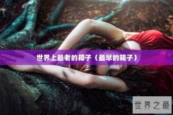 世界上最老的箱子（最早的箱子）
