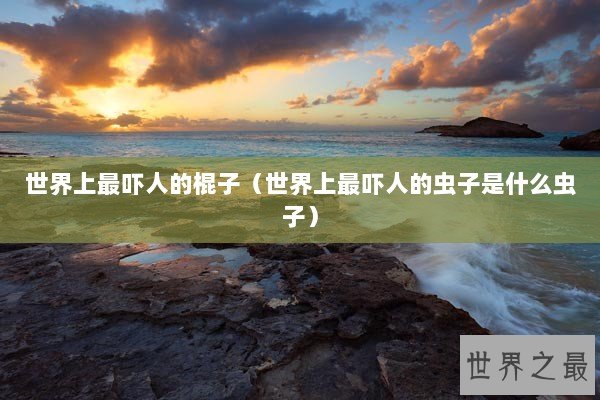 世界上最吓人的棍子（世界上最吓人的虫子是什么虫子）