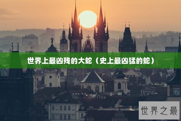 世界上最凶残的大蛇（史上最凶猛的蛇）