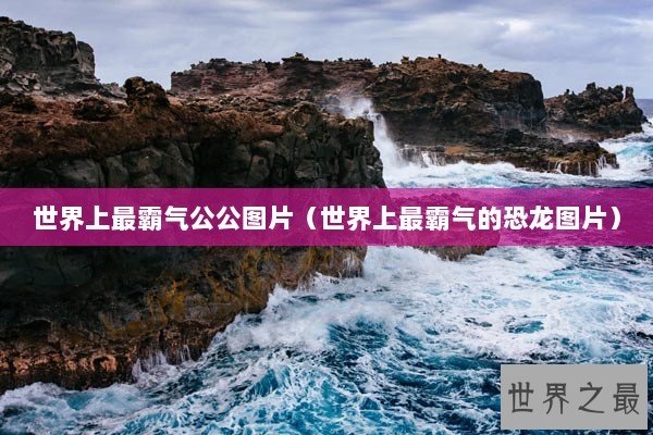 世界上最霸气公公图片（世界上最霸气的恐龙图片）