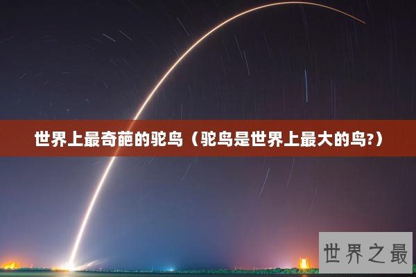 世界上最奇葩的驼鸟（驼鸟是世界上最大的鸟?）