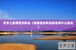 世界上最便宜的粉丝（最便宜的粉丝都是用什么做的）